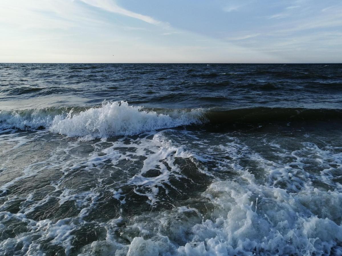 Moin Am Deich - Deich 13 C 61 Lejlighed Norddeich  Eksteriør billede